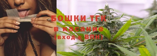 амф Пересвет