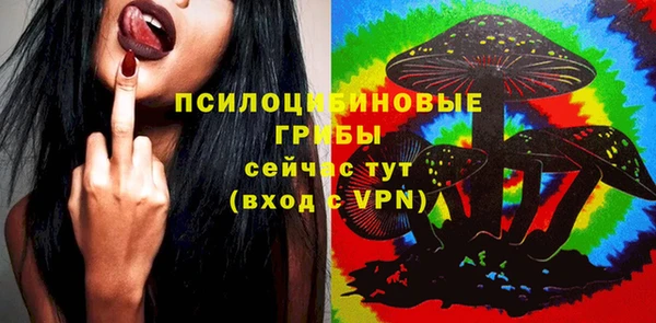 соль курить ск Губаха